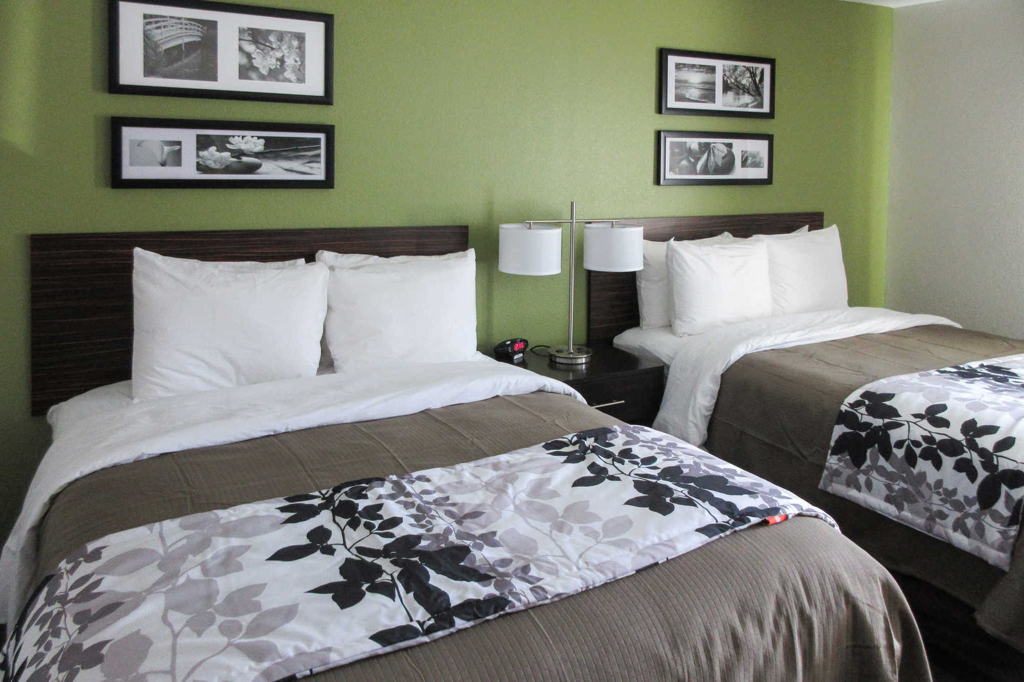 Sleep Inn & Suites College Station Pokój zdjęcie